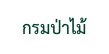 กรมป่าไม้
